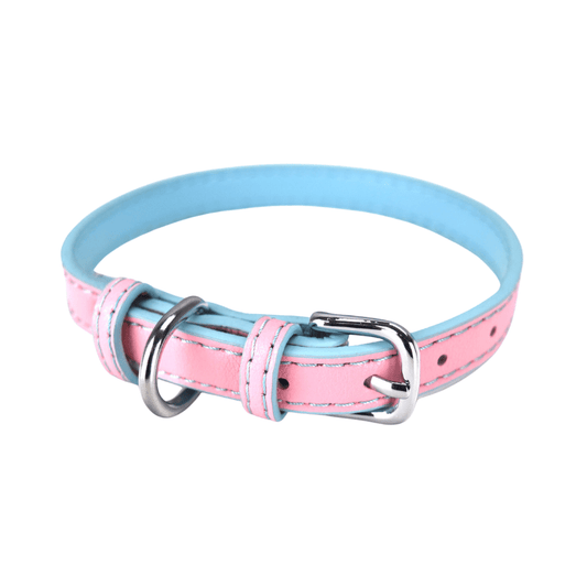 Hundehalsband Kunstleder Welpen Halsband Verstellbar mit silberfarbenem Verschluss mit D-Ring Rosa / Blau Hauptbild