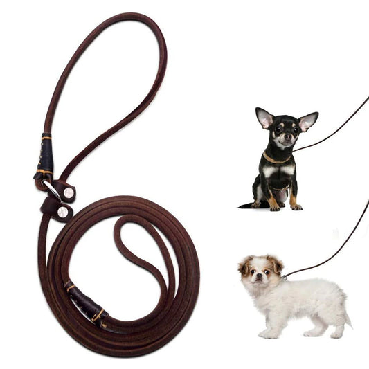 Lederleine Hundeleine Leine mit Halsband aus einem Stück Echtleder verstellbar & lautlos