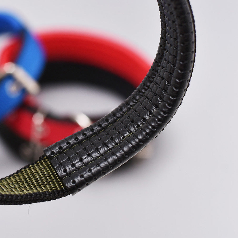 Hundehalsband Robust Verstellbar mit D-Ring Nylon Welpen Gepolstertes Halsband Detailbild Schwarz