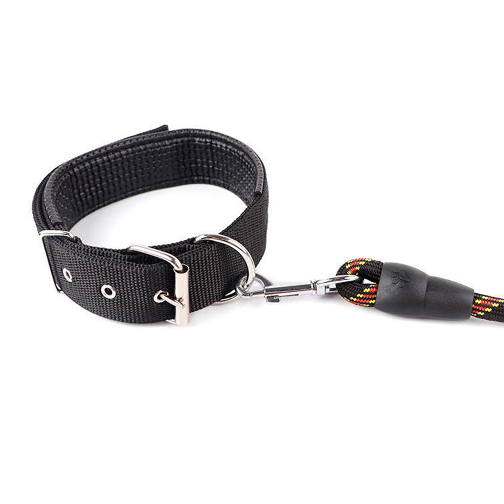 Hundehalsband Robust Verstellbar mit D-Ring Nylon Welpen Gepolstertes Halsband Detailbild Schwarz