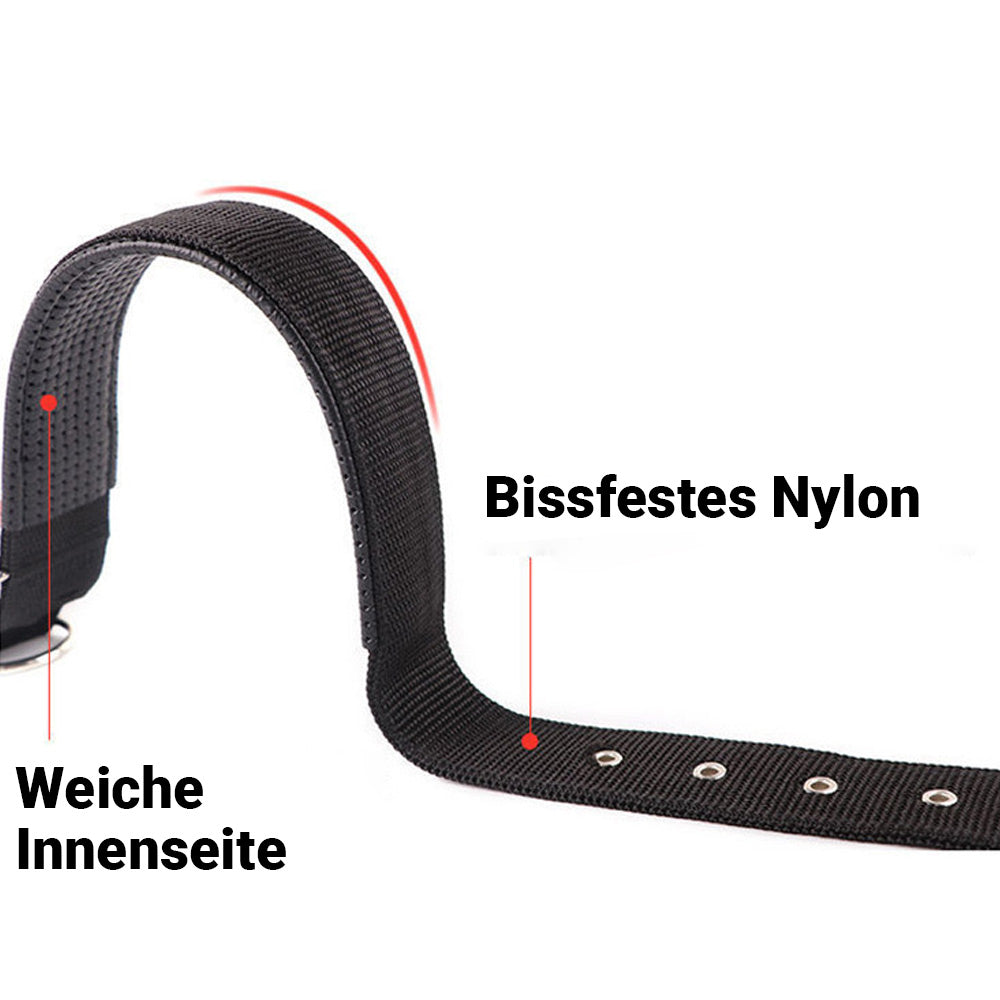 Hundehalsband Robust Verstellbar mit D-Ring Nylon Welpen Gepolstertes Halsband Detailbild Schwarz