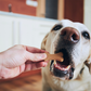 Silikonbackform für Hundekekse Backmatte verschiedene Motive
