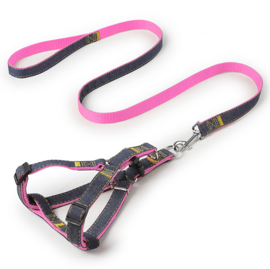Tolles Hundegeschirr für Deinen Hund mit Leine in Pink Jeans