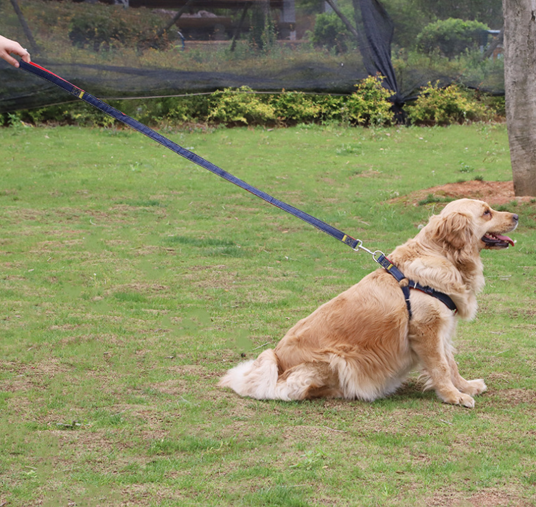Tolles Hundegeschirr für Deinen Hund mit Leine in Blau Jeans Beispielbild