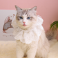 Katzenschal Spitze Verkleidung Katzenmode