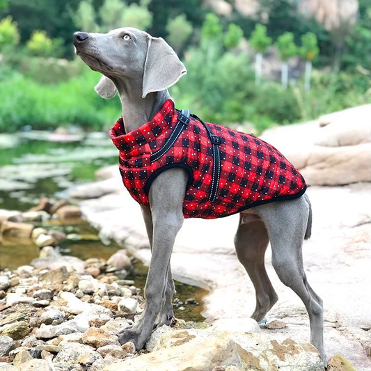 Warme Hundemantel Hundejacke kariert für große Hunde