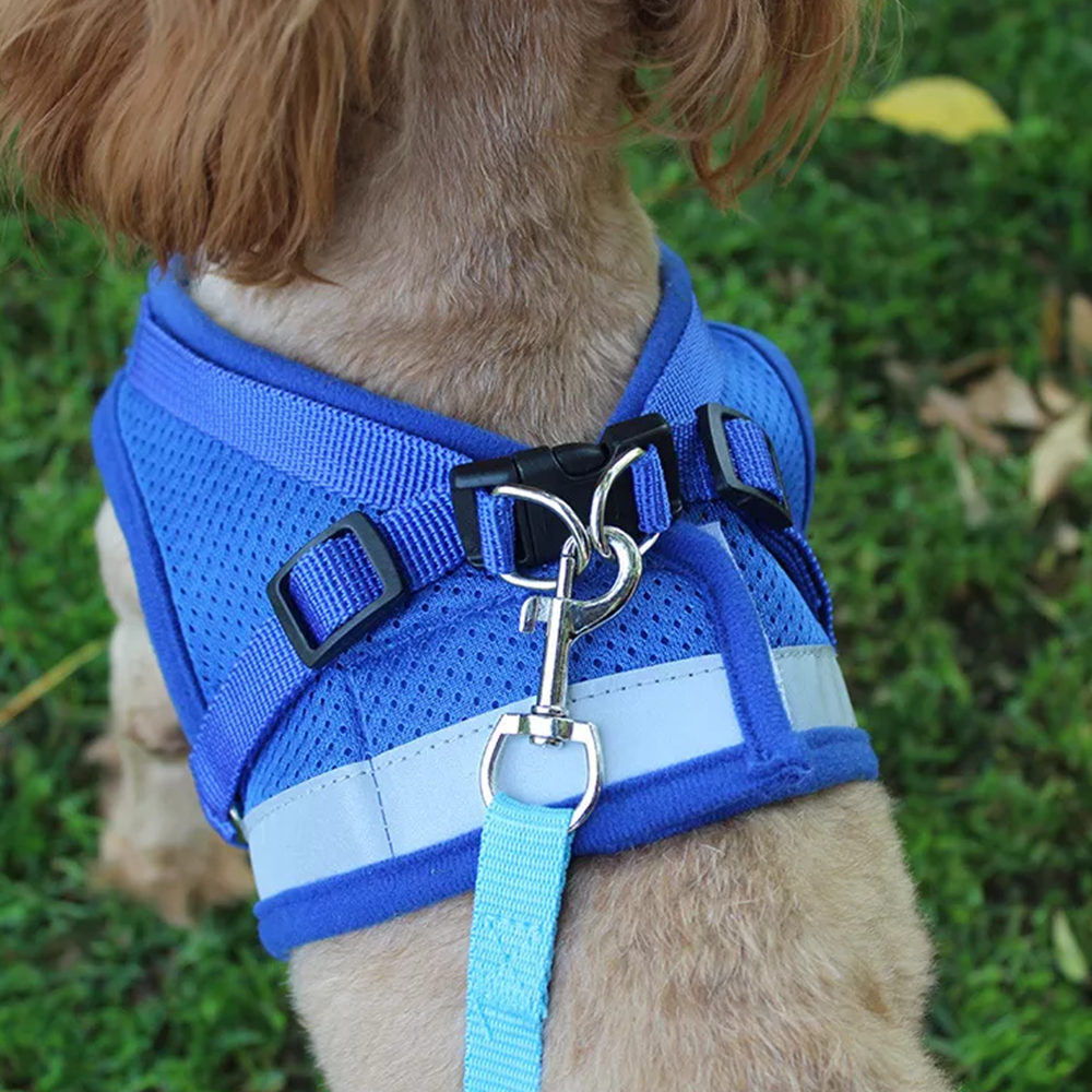 Brustgeschirr Laufgeschirr für Hunde inklusive Leine und Reflektor Detailaufnahme Blau